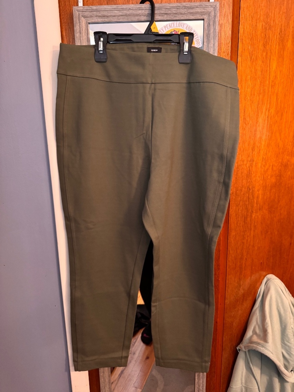 Express dress pants